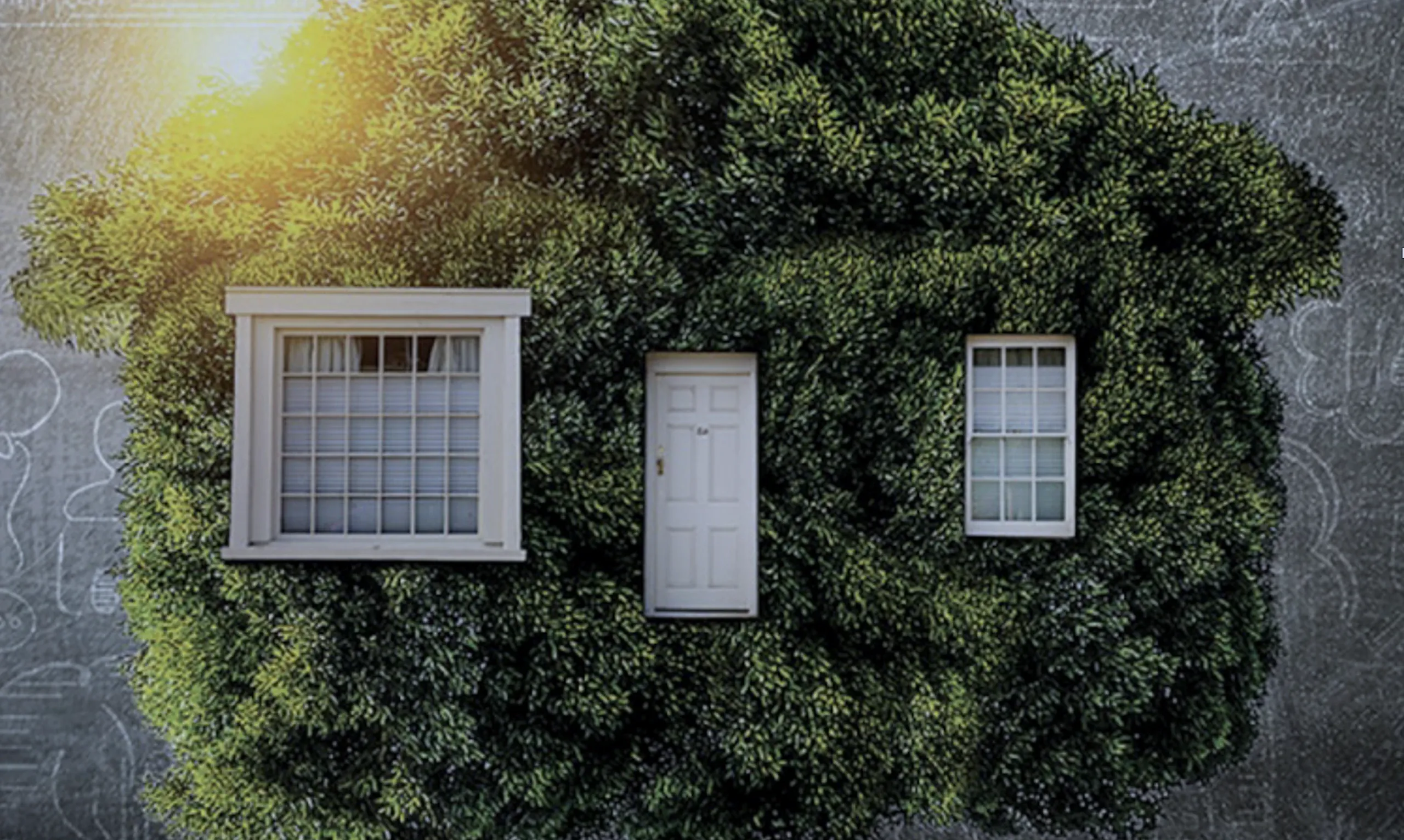 Un patrimonio da salvare